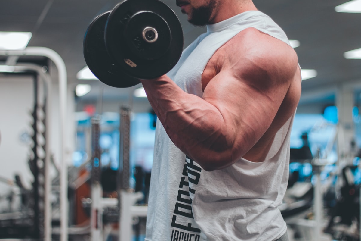 Healthy habits and daily routines for sustained energy